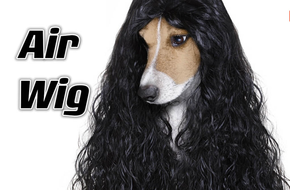 Air Wig: More Breathable, No Glue, No Gel, No Spray, Easy To Take Off ...