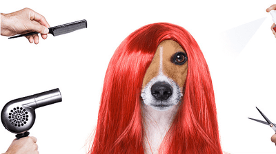 How to Install Closure Wig without Glue