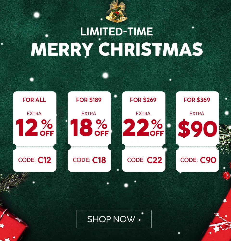 Christmas promotion