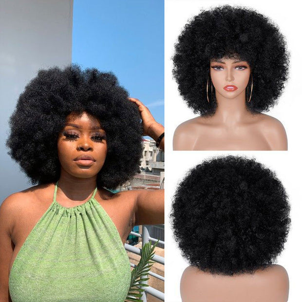 short-afro-wig-soft-Curly-Afro-Wig-Short-Fluffy-Human-Wig