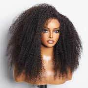 BOGO Ashimary Glueless 5*5 HD Transparent Closure Curly Afro Wig 100 Human Hair Natural Color