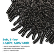 Burmese Curly Glueless Wig