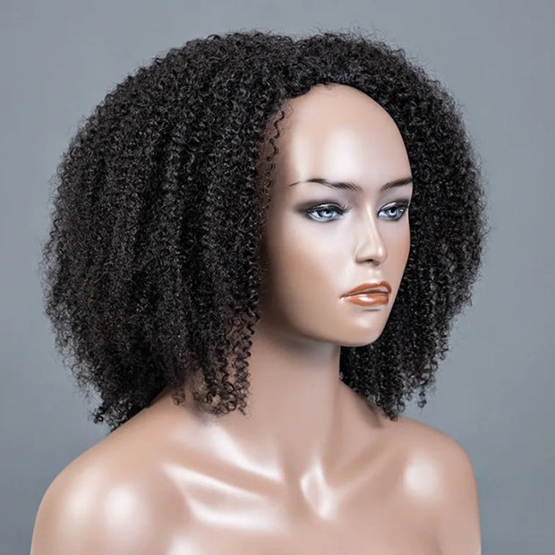 Amazing Kinky Curly Half Wig Artwork Concept Amazing Kinky Curly Half Wig Artwork Concept