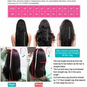 Human Hair Wigs Length Chat and Measurement-AshimaryHair.com