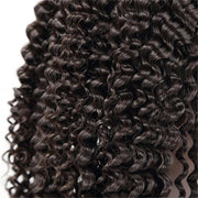 Full Lace Wig Afro Kinky Curly Human Hair Wigs Brazilian Hair-AshimaryHair.com