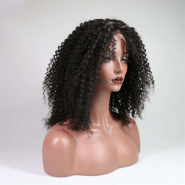 Glueless 4*4 Lace Closure Wig Afro Kinky Curly Human Hair Wigs Brazilian Hair-AshimaryHair.com